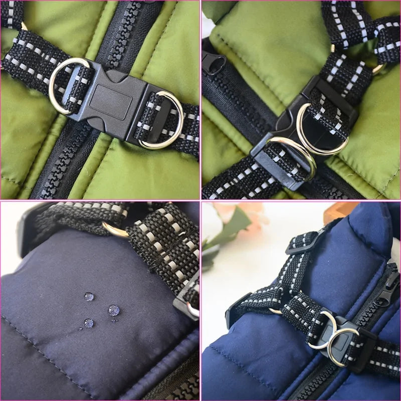 Pet Harness